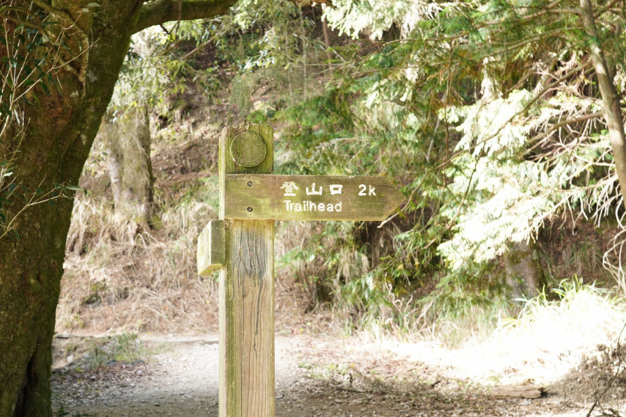 5bf2556841853.jpg 5bf2556841853.jpg