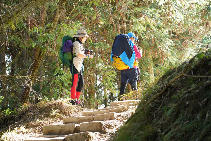 5bf2613877985.jpg 5bf2613877985.jpg