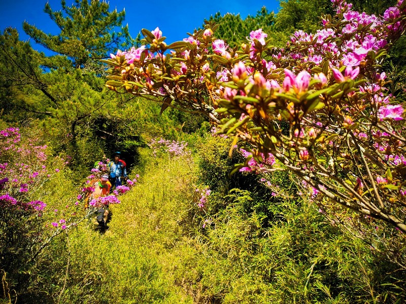 60adbde4d0f8d.jpg 60adbde4d0f8d.jpg