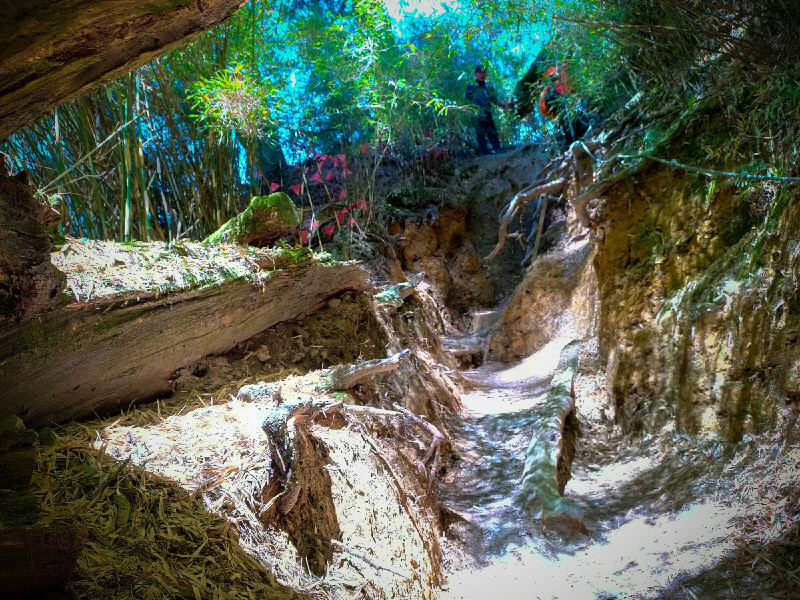 60adbea899c36.jpg 60adbea899c36.jpg