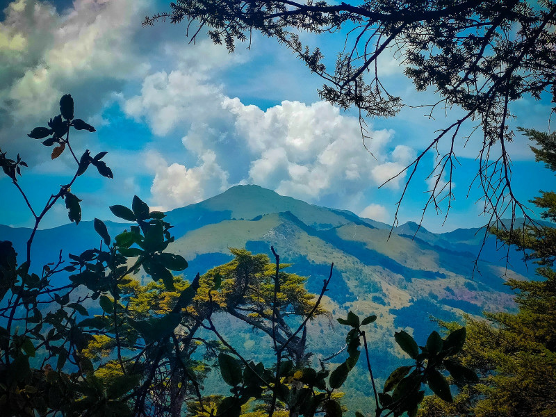 60adc0f853e4f.jpg 60adc0f853e4f.jpg