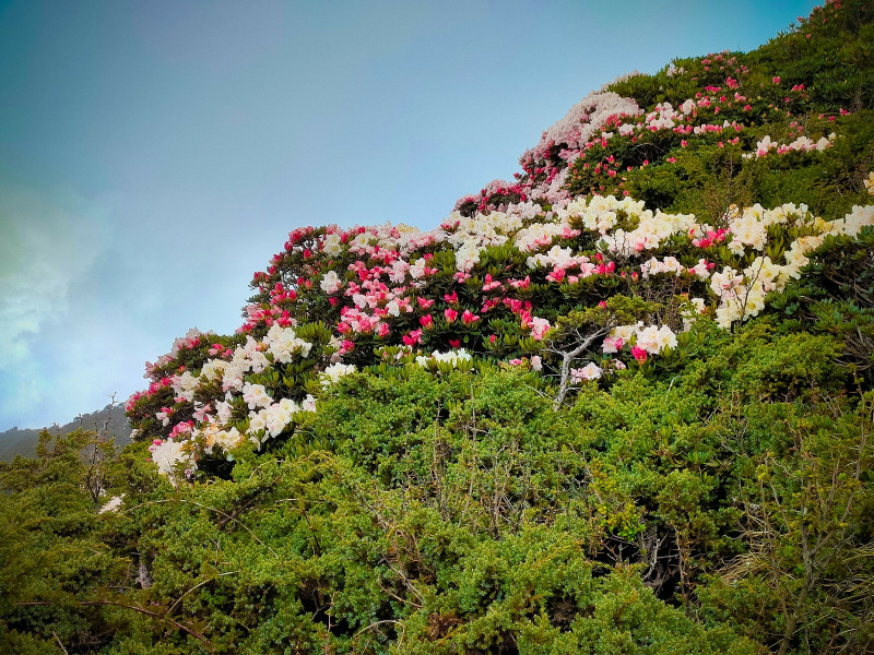 60adc2fdb66ed.jpg 60adc2fdb66ed.jpg