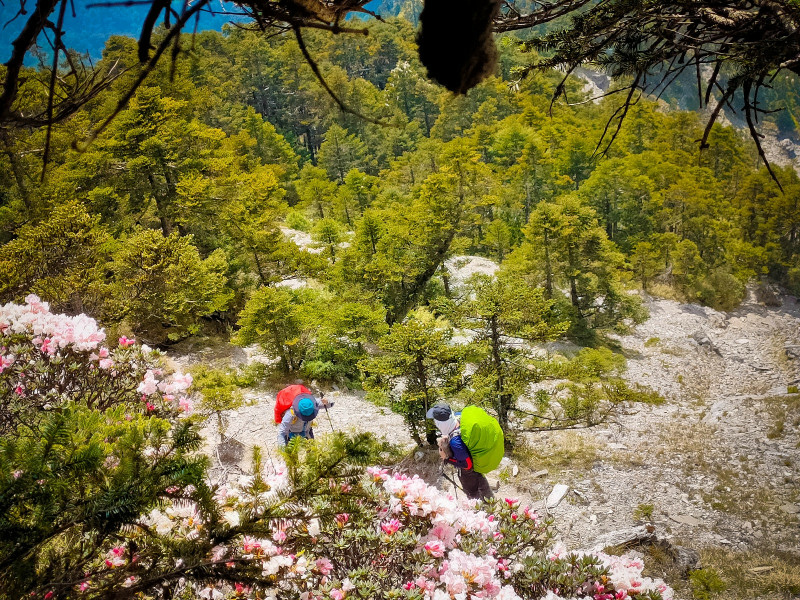 60adc1ebdc25b.jpg 60adc1ebdc25b.jpg