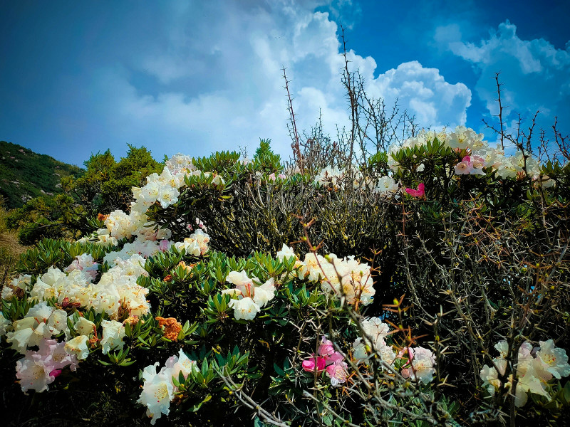 60adc2a7c4c58.jpg 60adc2a7c4c58.jpg