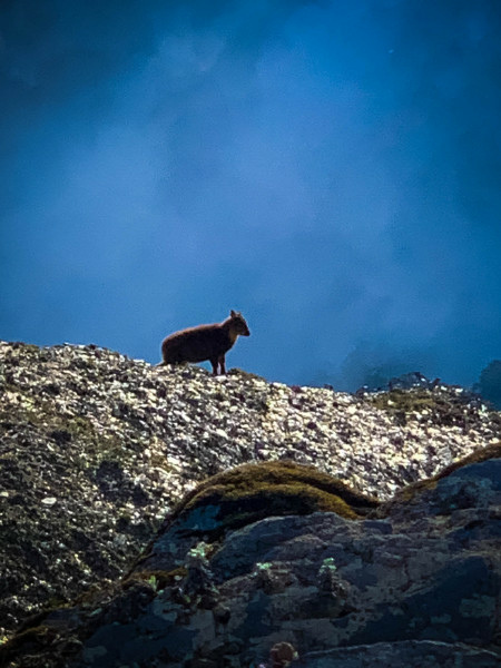 60adc6f275062.jpg 60adc6f275062.jpg