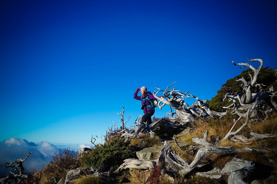 5bf78b86891c9.jpg 5bf78b86891c9.jpg