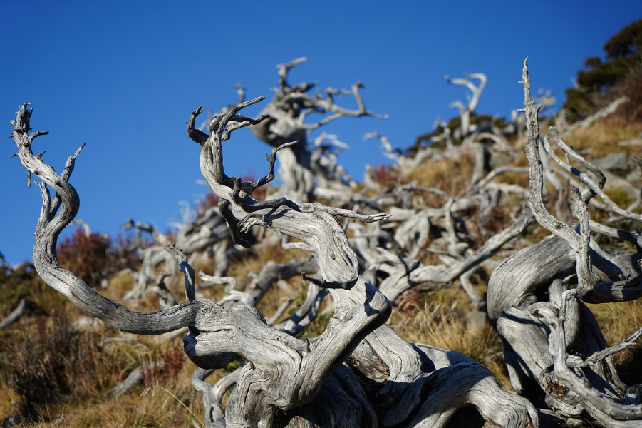 5bf78ef1c2f71.jpg 5bf78ef1c2f71.jpg