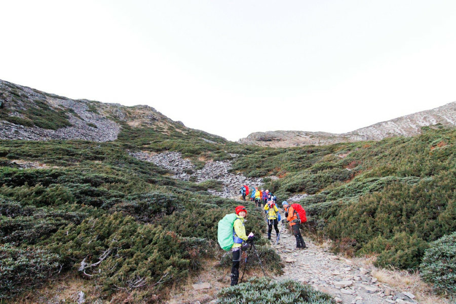 5bf656f1333f9.jpg 5bf656f1333f9.jpg