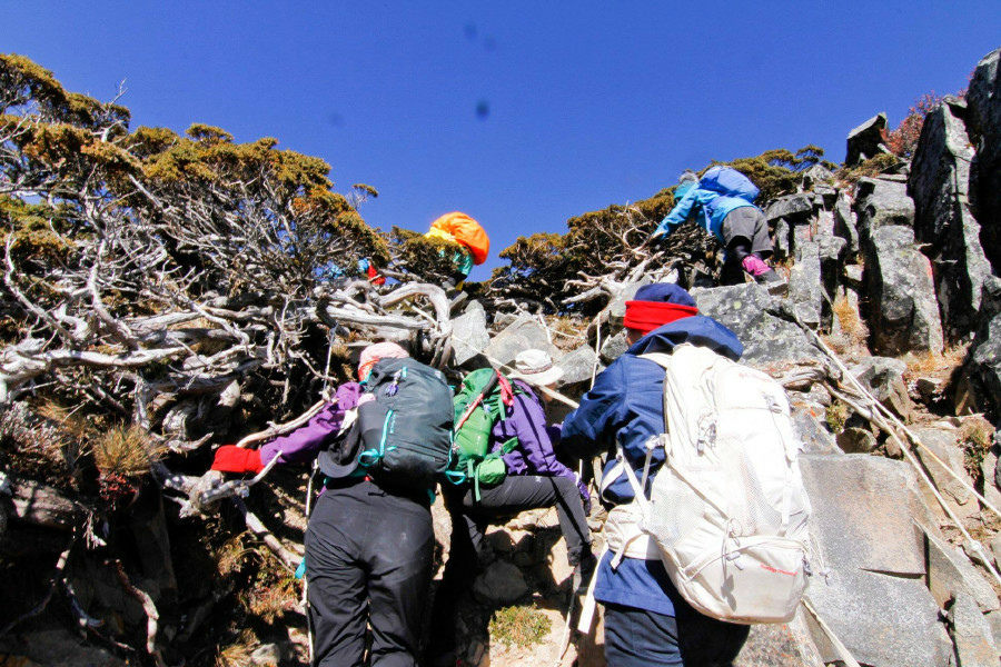 5bf658cb78ada.jpg 5bf658cb78ada.jpg