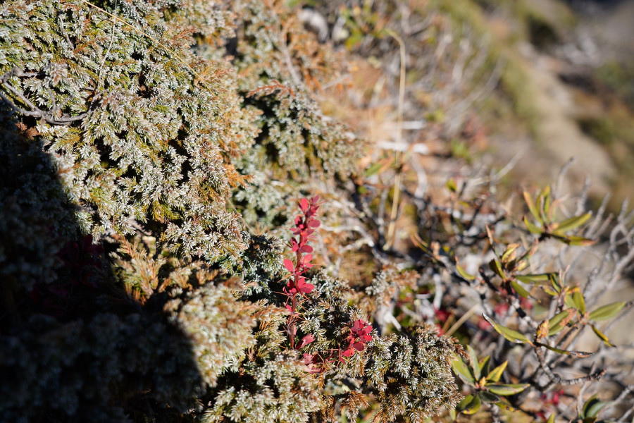 5bf798a807f1e.jpg 5bf798a807f1e.jpg