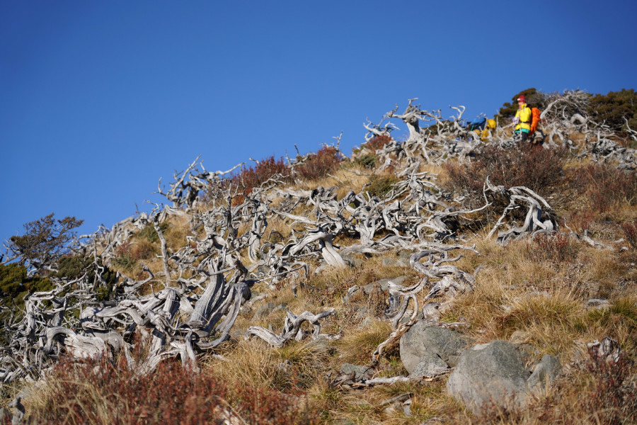 5bf65790ef1d9.jpg 5bf65790ef1d9.jpg