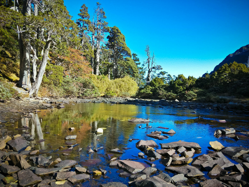 5bf69839d9bb7.jpg 5bf69839d9bb7.jpg