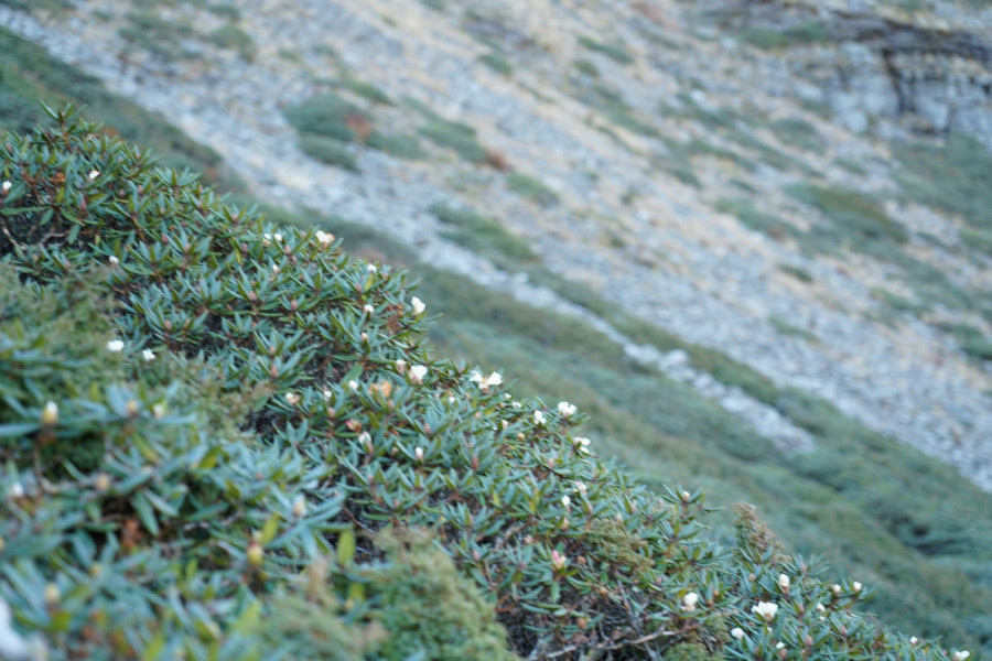 5bf79586888fe.jpg 5bf79586888fe.jpg