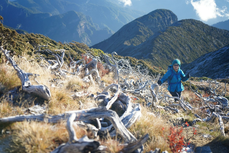 5bfcf8aaadd68.jpg 5bfcf8aaadd68.jpg