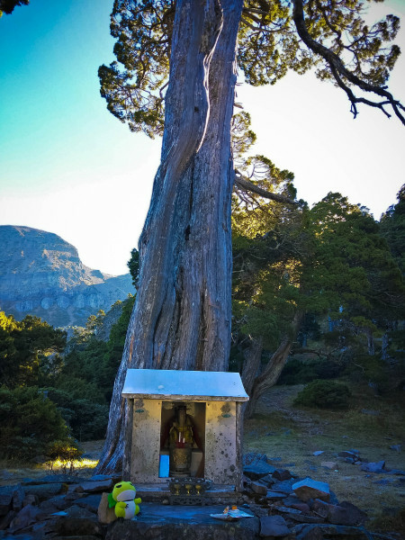 5bf6989ae0a67.jpg 5bf6989ae0a67.jpg