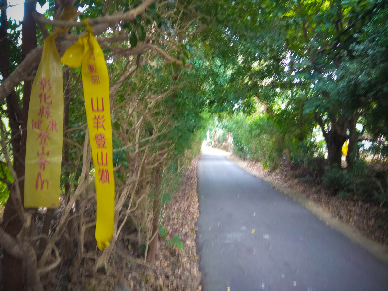 5bfd26e595707.jpg 5bfd26e595707.jpg