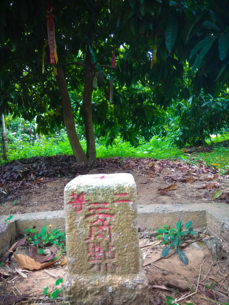 5bfd27a18c9d1.jpg 5bfd27a18c9d1.jpg