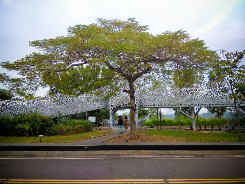 5bfd27bd38437.jpg 5bfd27bd38437.jpg