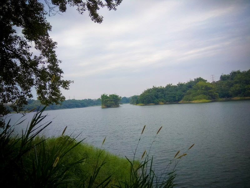 5bfd28b450a07.jpg 5bfd28b450a07.jpg