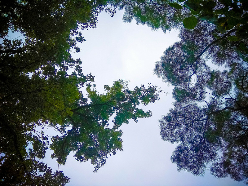 5bfd28fd87926.jpg 5bfd28fd87926.jpg