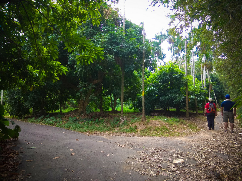 5bfd272dbb38a.jpg 5bfd272dbb38a.jpg