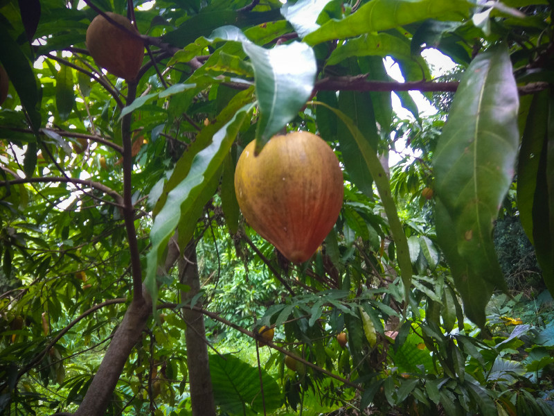 5bfd2718e4466.jpg 5bfd2718e4466.jpg