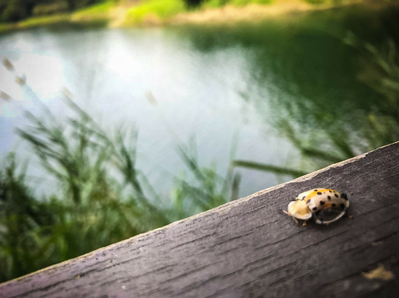 5bfe2c29a6918.jpg 5bfe2c29a6918.jpg