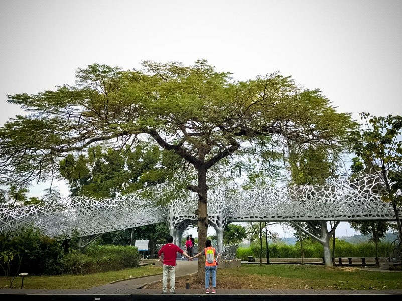 5bfe2c085c063.jpg 5bfe2c085c063.jpg