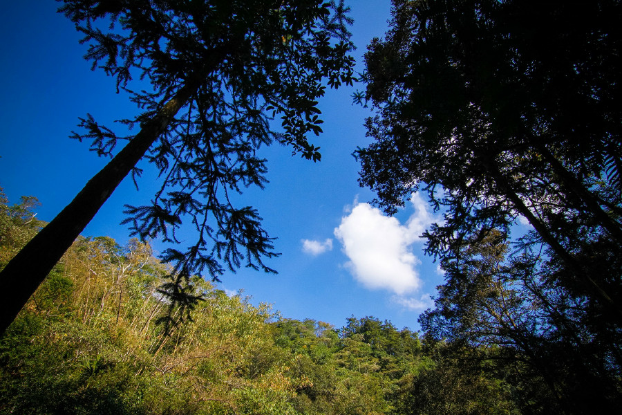 5be6a13db68c8.jpg 5be6a13db68c8.jpg