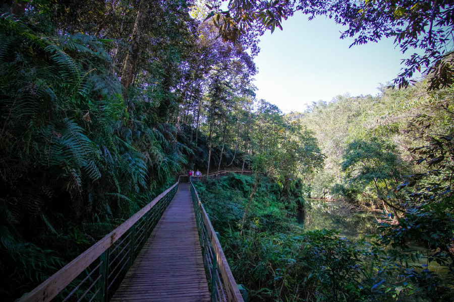 5be6a1300fb65.jpg 5be6a1300fb65.jpg