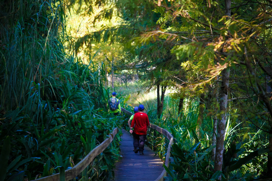 5be69f6bc2048.jpg 5be69f6bc2048.jpg