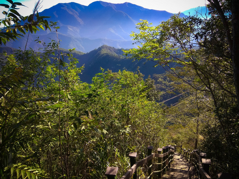 5be68a78cbe9c.jpg 5be68a78cbe9c.jpg