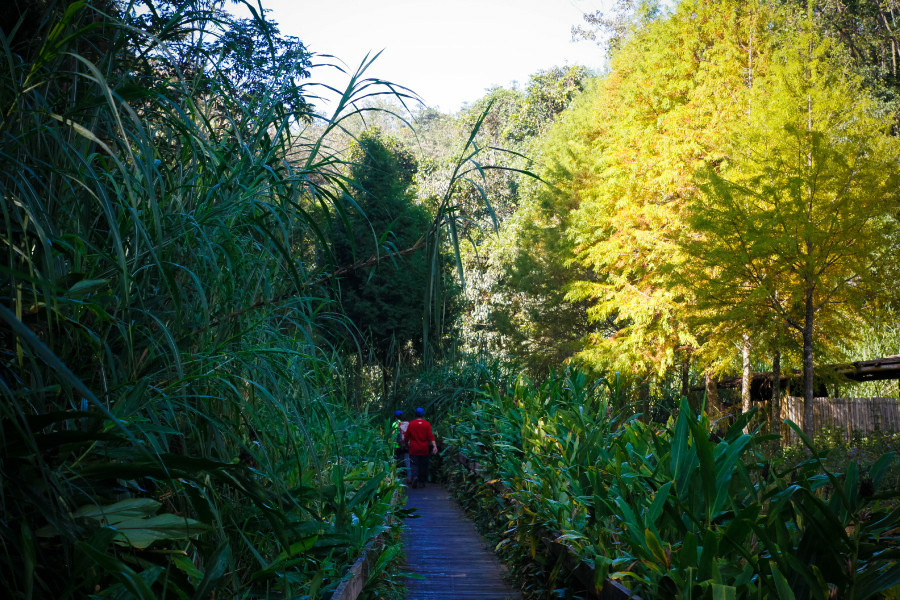 5be69f8d4047f.jpg 5be69f8d4047f.jpg