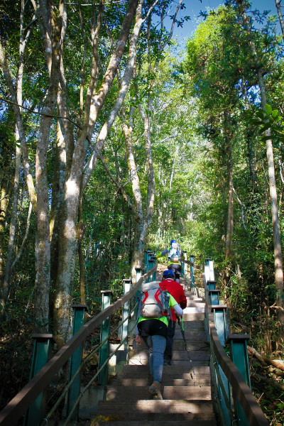 5be685cc1d4a6.jpg 5be685cc1d4a6.jpg