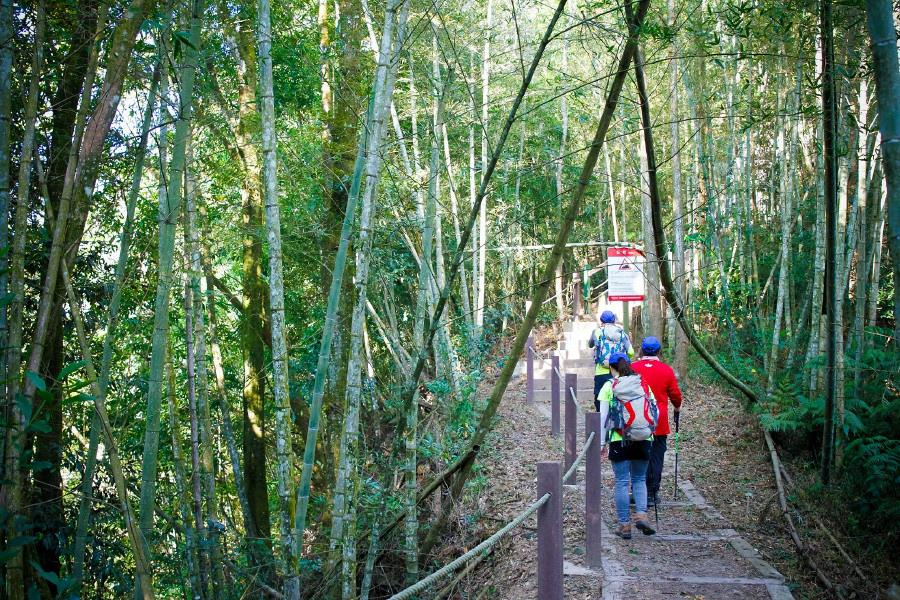 5be681d49de74.jpg 5be681d49de74.jpg