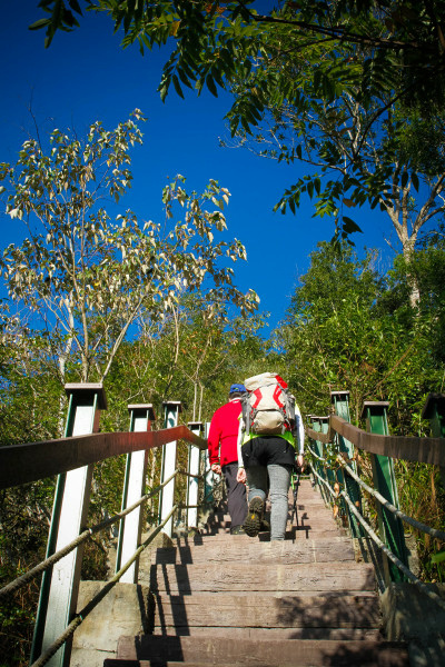 5be687fdc7632.jpg 5be687fdc7632.jpg