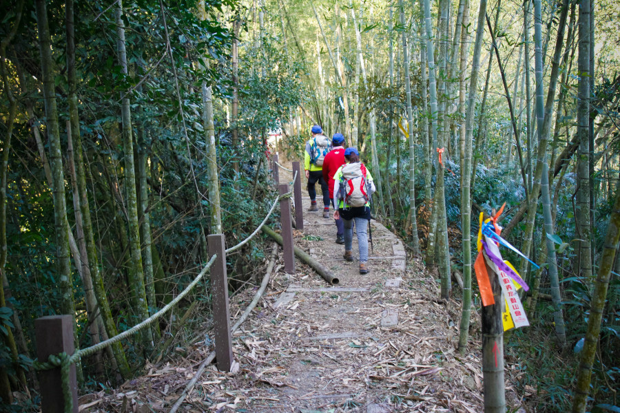 5be6814b1973b.jpg 5be6814b1973b.jpg