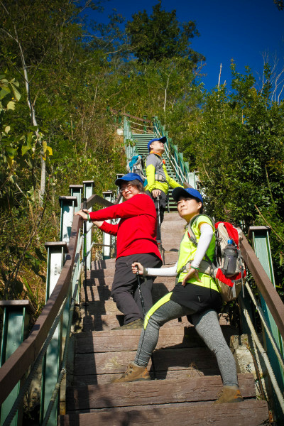 5be6881355864.jpg 5be6881355864.jpg