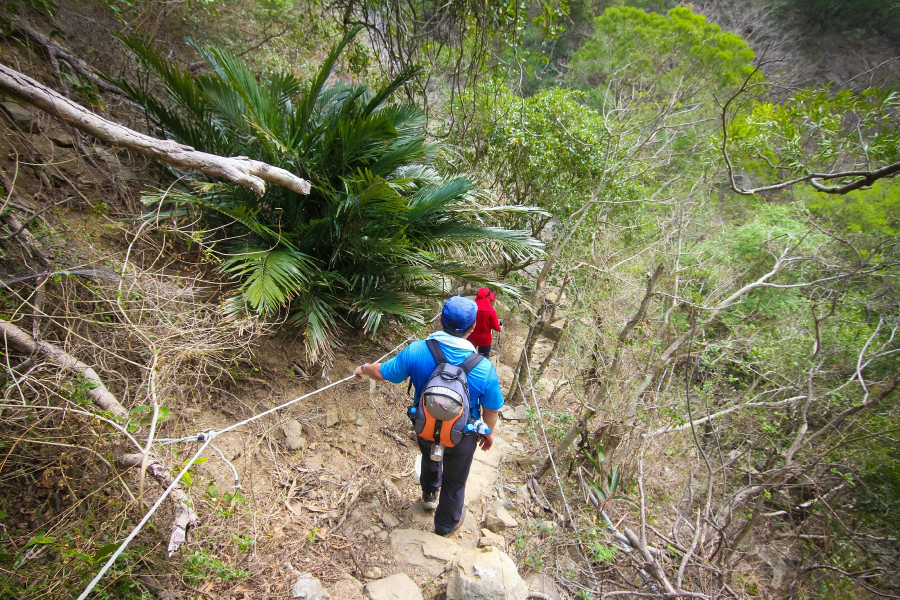 5cd12e0b53337.jpg 5cd12e0b53337.jpg