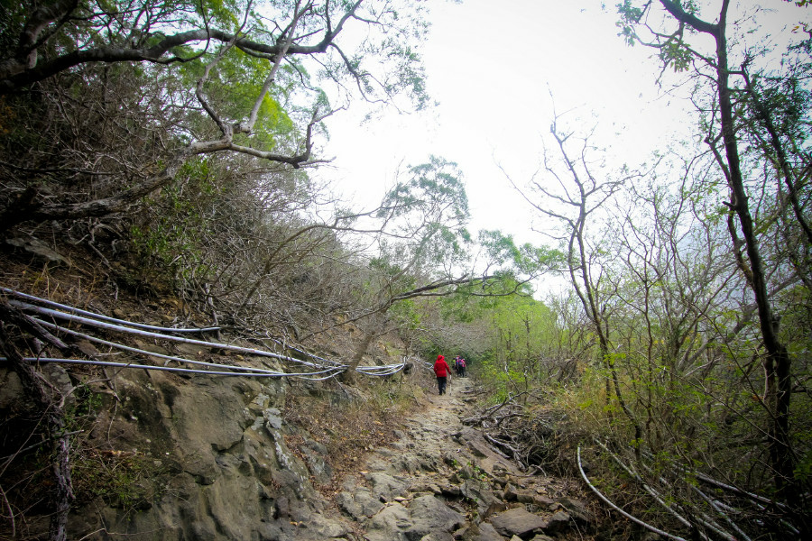 5cd12dafd36f9.jpg 5cd12dafd36f9.jpg