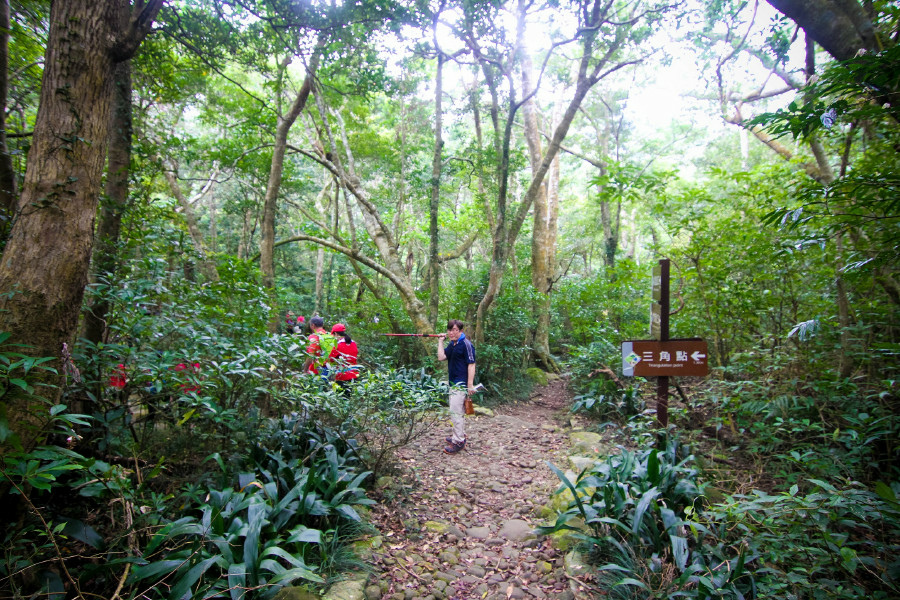 5cd12e9d7eb88.jpg 5cd12e9d7eb88.jpg