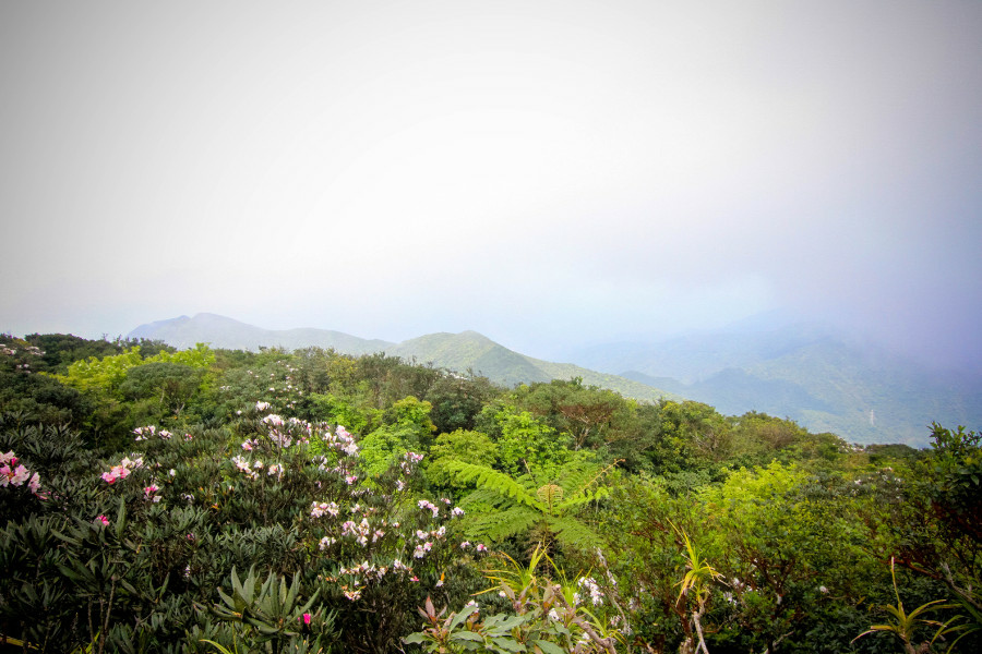 5cd12f004892d.jpg 5cd12f004892d.jpg