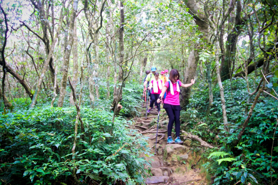 5cd12fb9b5689.jpg 5cd12fb9b5689.jpg