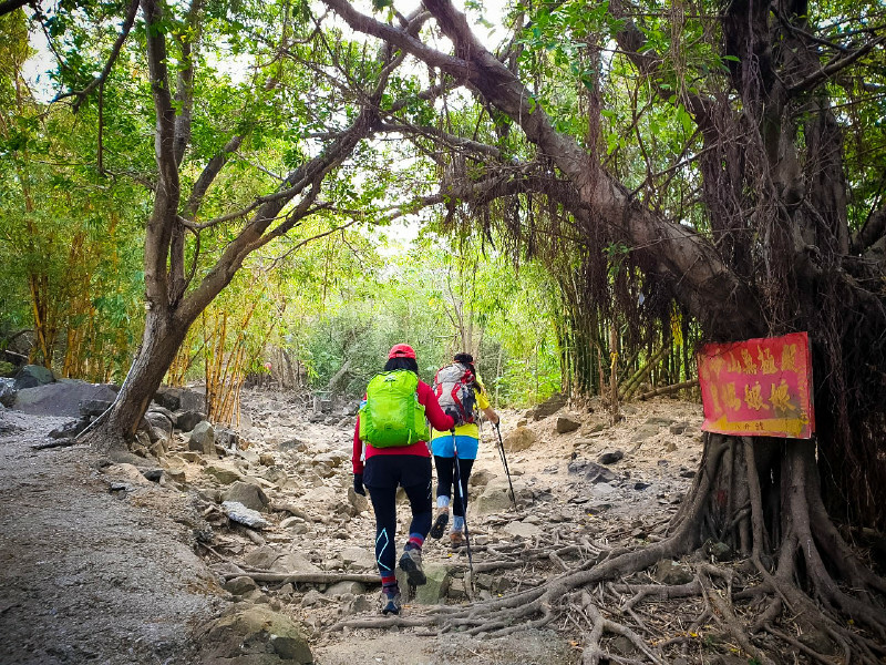 5cd135df93c6a.jpg 5cd135df93c6a.jpg