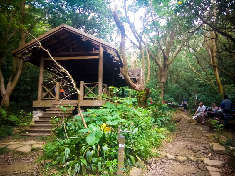 5cd138b50d006.jpg 5cd138b50d006.jpg