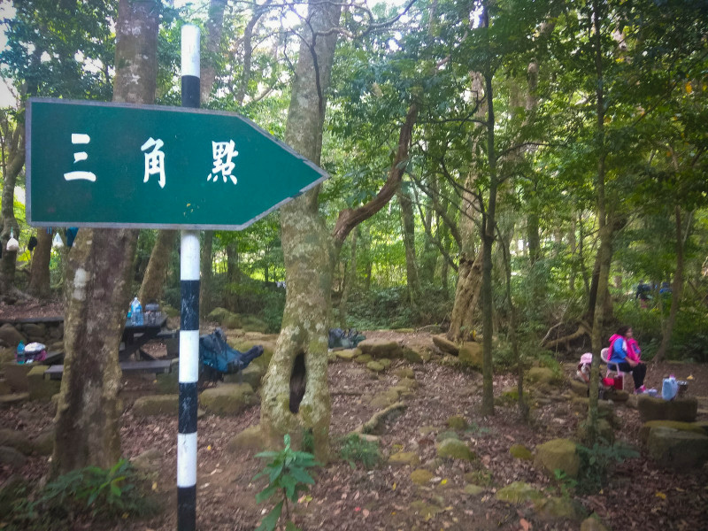 5cd138e8cc958.jpg 5cd138e8cc958.jpg