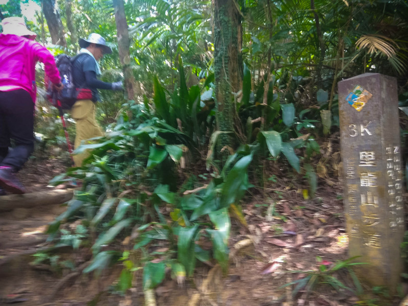 5cd138f9b832e.jpg 5cd138f9b832e.jpg