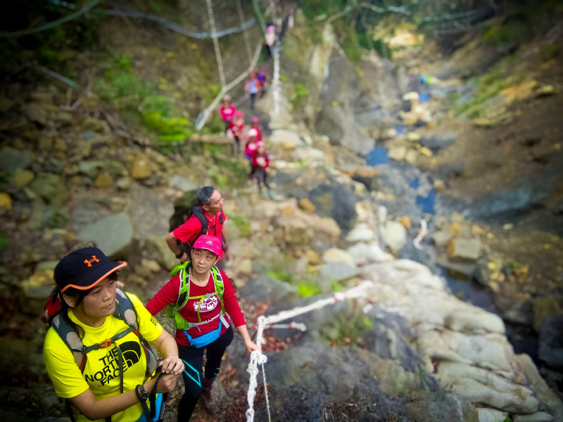 5cd1382a8296d.jpg 5cd1382a8296d.jpg