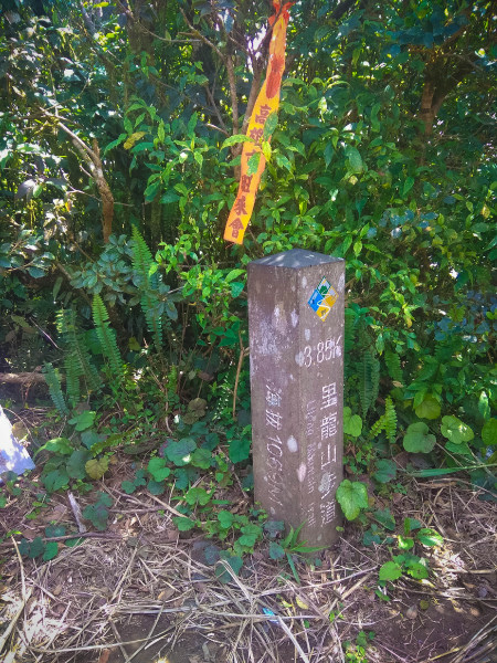 5cd1390e63cf6.jpg 5cd1390e63cf6.jpg