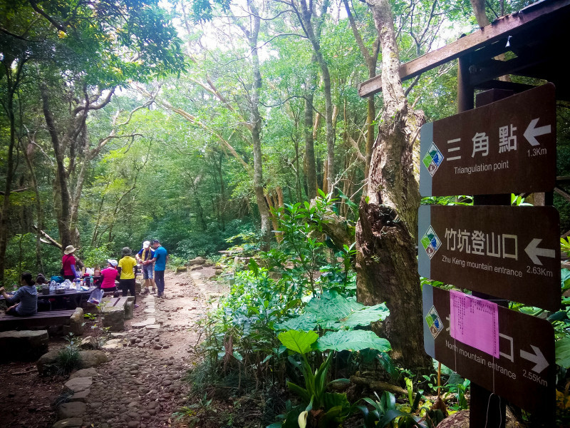 5cd1388a4a889.jpg 5cd1388a4a889.jpg